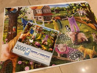Rainbow Seashells 2000 Piece Jigsaw Puzzle
