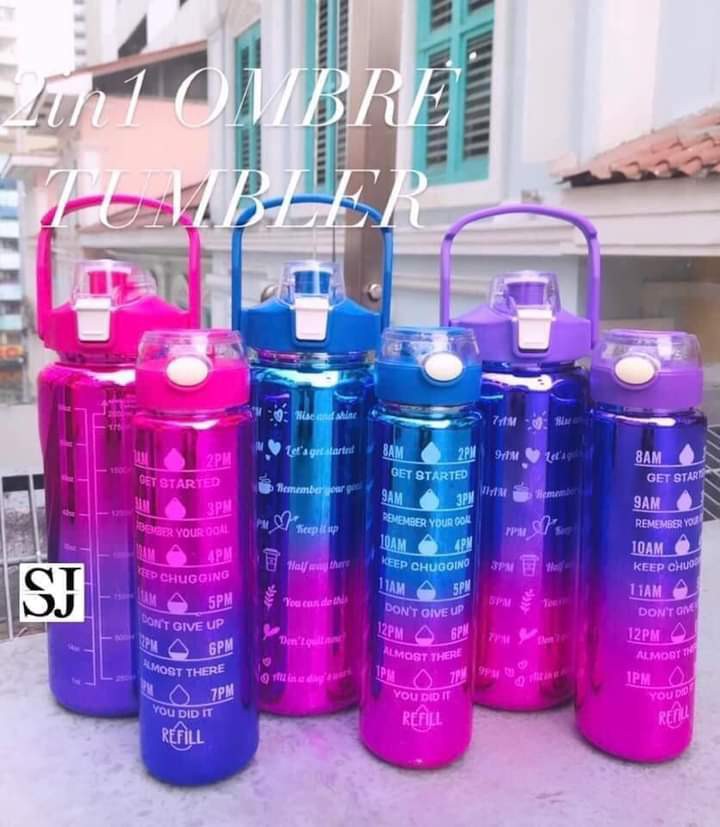 Meoky Gradient Ombre Insulated Tumblers with Straw - Stanley and Owala Dupe,  Furniture & Home Living, Kitchenware & Tableware, Water Bottles & Tumblers  on Carousell