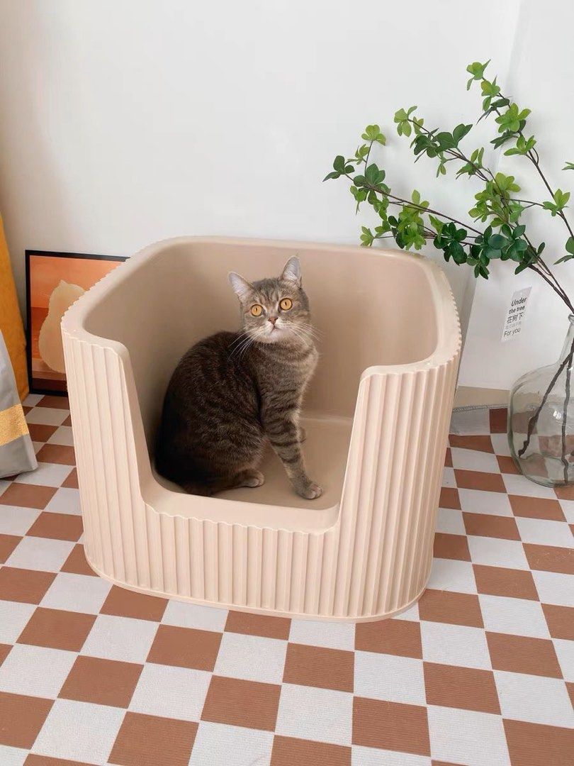 Korean cat litter box clearance