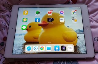 （分類：）位於 。 由 cblau10 提交（商品編號 1247016718，圖片 1）。簡介： 。