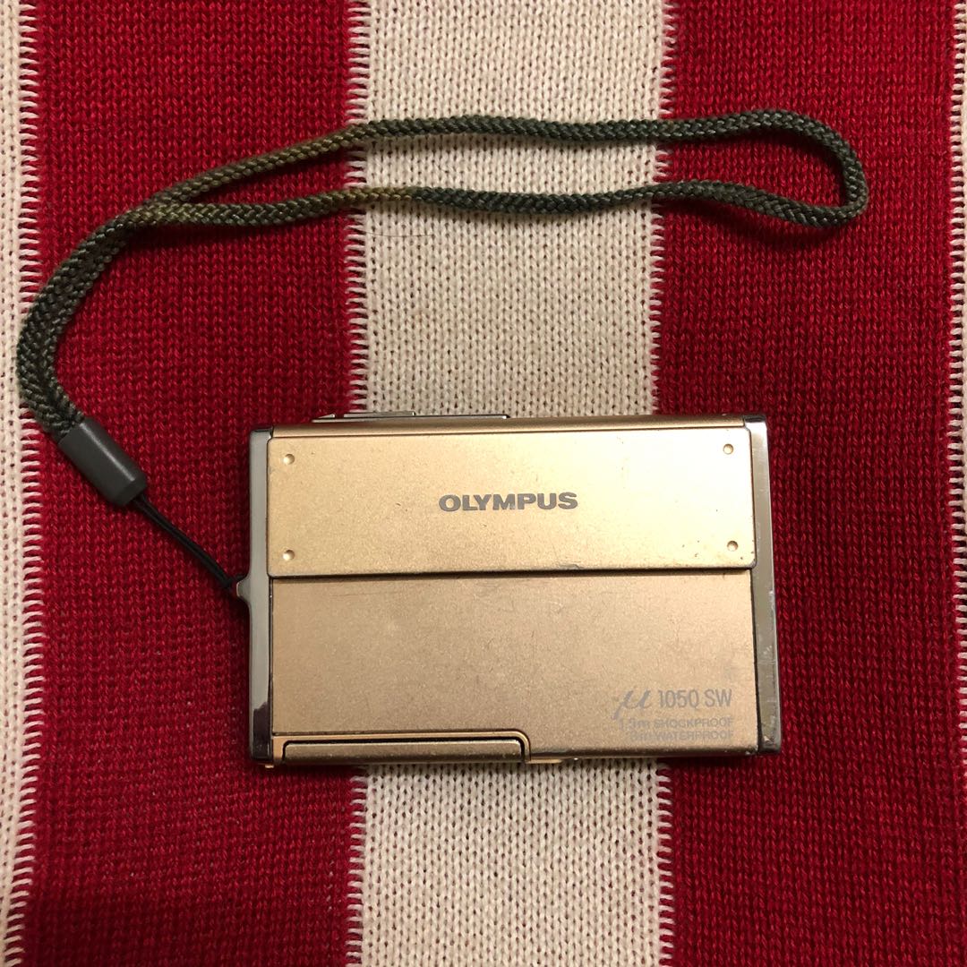 Hermes Cadena Gold Pegasus with Choker necklace bag charm horse motif lock Hermes Cadena Gold Pegasus with Choker necklace bag charm horse motif lock