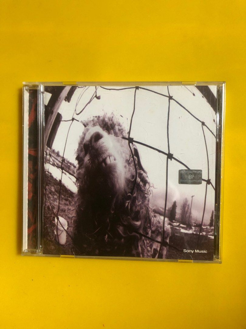 Pearl Jam Cd, Hobbies & Toys, Music & Media, CDs & DVDs on Carousell