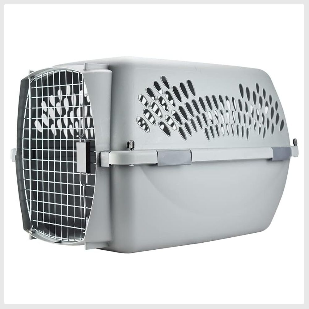 Petmate pet porter online