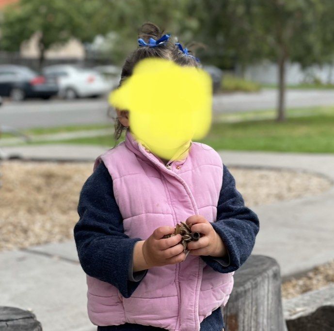 Seed puffer vest sales