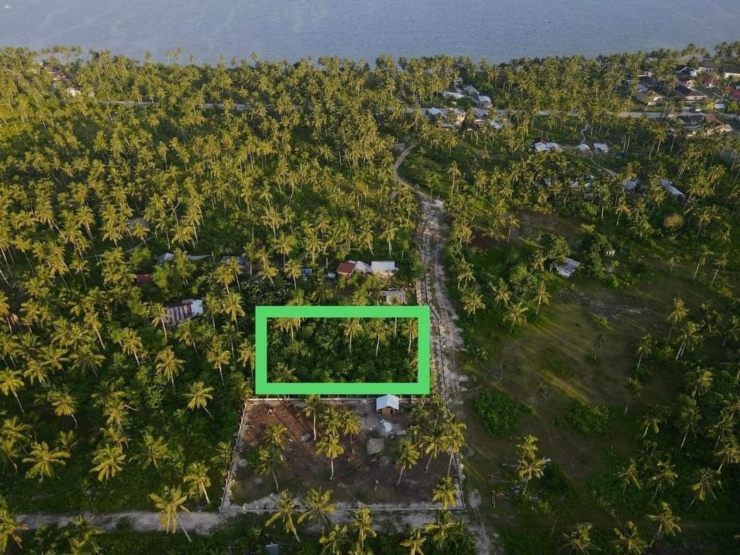 Siargao lot for sale, Property, For Sale, Lot on Carousell