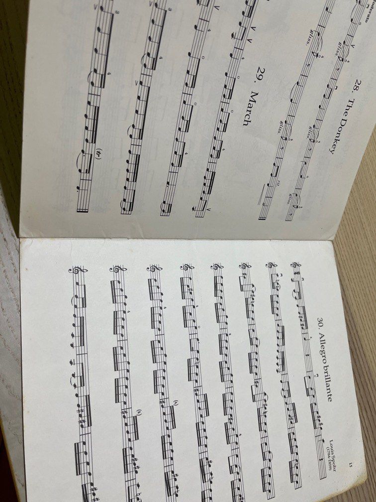 Violin playtime studies, Hobbies & Toys, Books & Magazines, Fiction