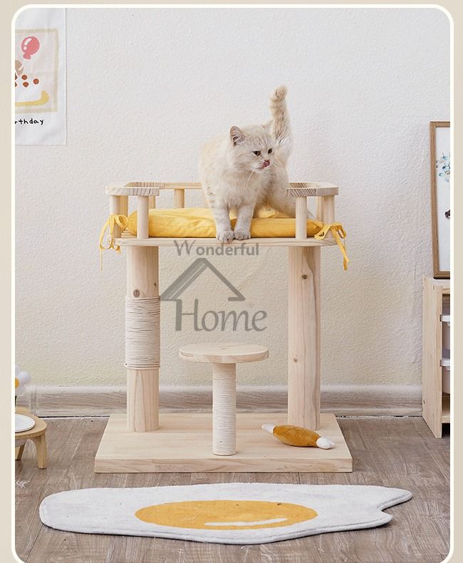 Cat hotsell condo lazada