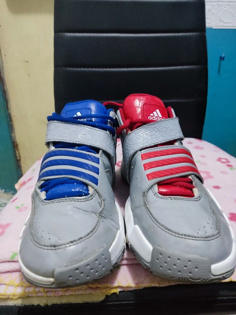 gilbert arenas adidas shoe