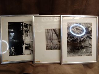 Anthony Lights 1985 Forrest of Bowlands Monochrome Photo Print  3 pieces of a Series Collection in Aluminum Frame