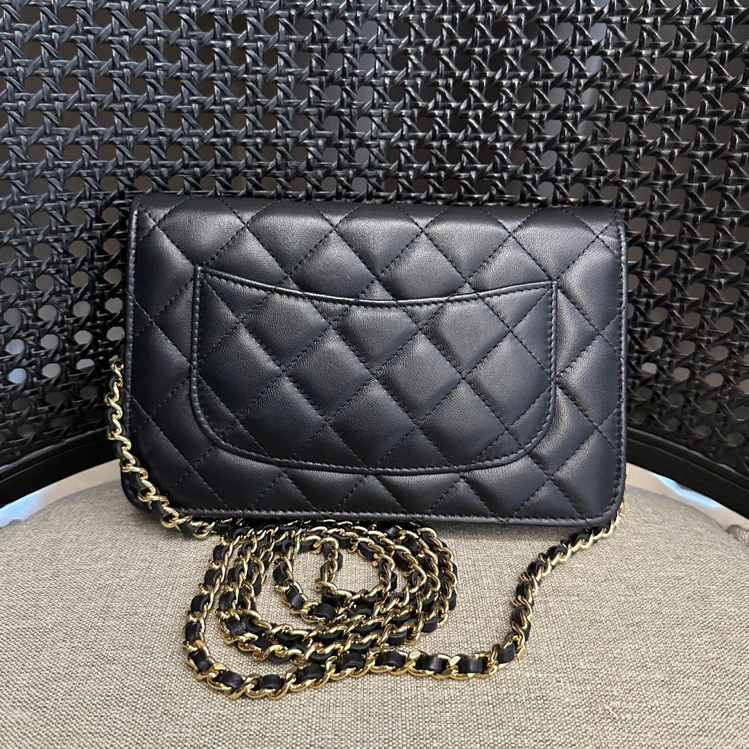 What Fits: Chanel WOC (Wallet On Chain) Bag - PurseBlog