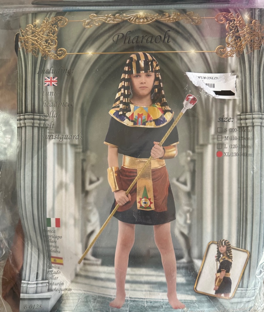 Children Egyptian Pharaoh costume dress up cosplay, Babies & Kids, Babies & Kids Fashion on Carousell