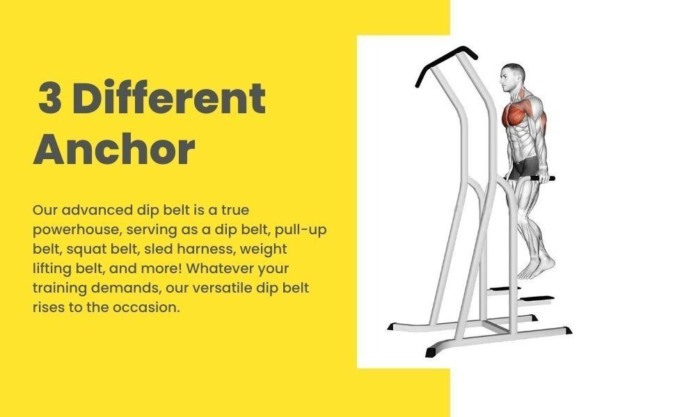 DMoose Fitness Dip Belt for Weight Lifting, Pullup, Nederlands