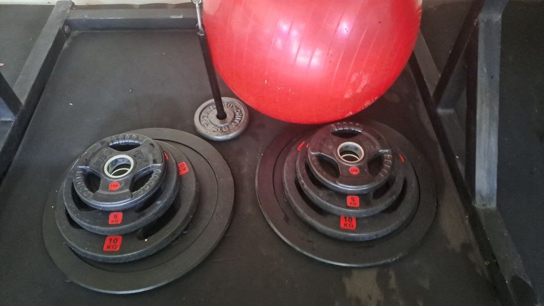 Home gym (half squat rack, bench, olympic bar, plates, dumbells) on