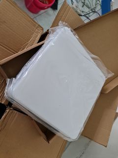 New Ceiling Light