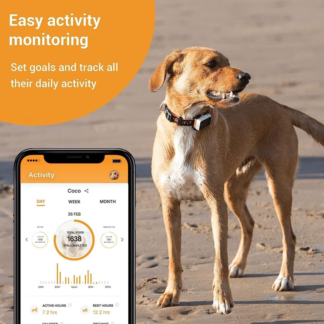 Ee shop pet tracker