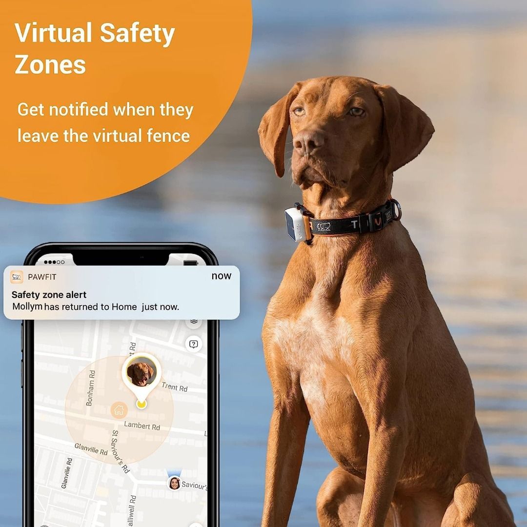 Pawfit 3 GPS Pet Tracker 4G Real time Unlimited Tracking Built in LED Light Speaker Escape Alert Voice Recall IP68 Waterproof GPS Tracker for