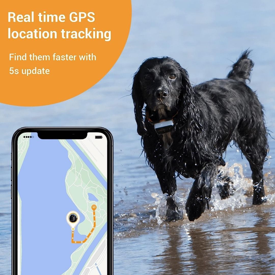 Real time gps sale pet tracker
