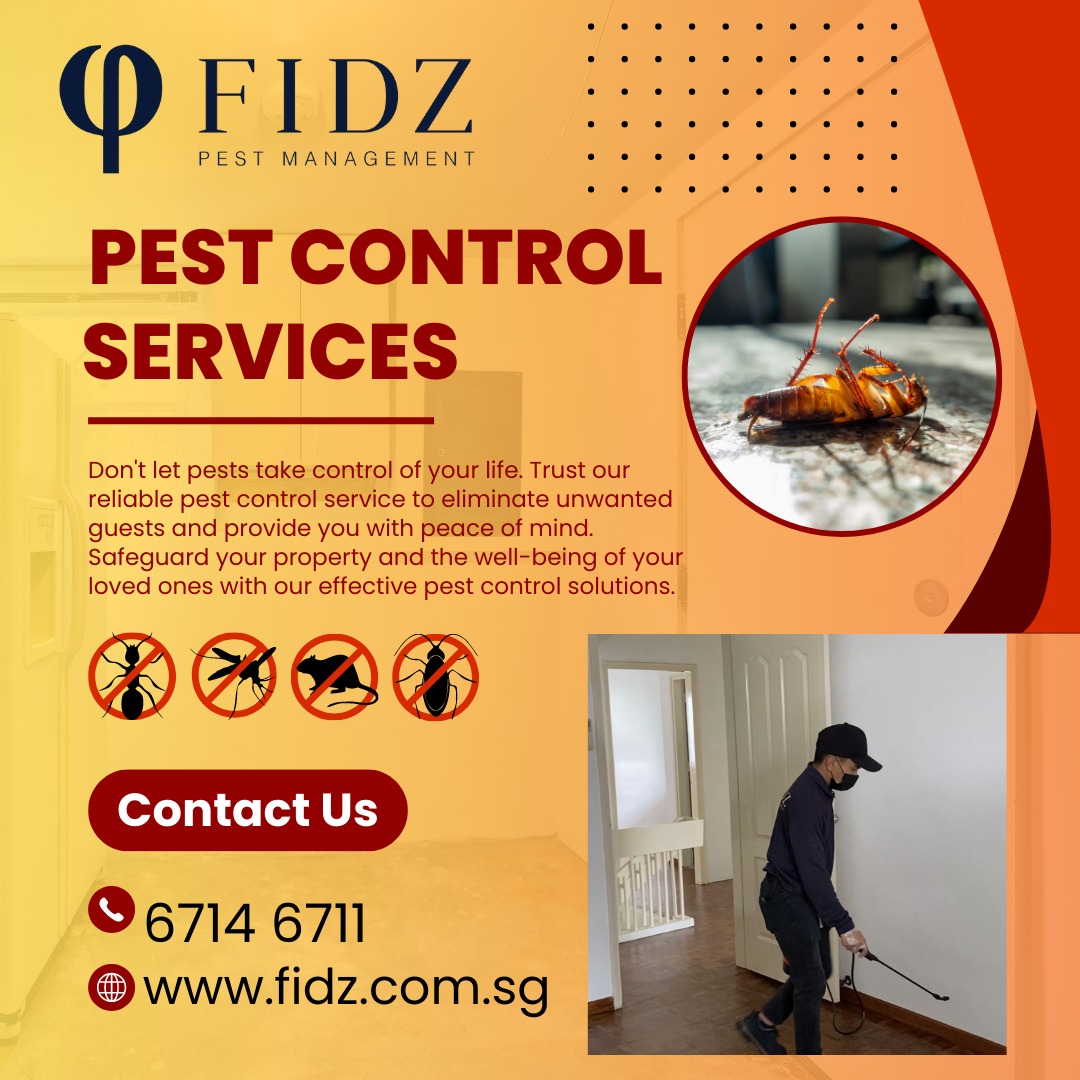 Pests Control, Furniture & Home Living, Cleaning & Homecare Supplies