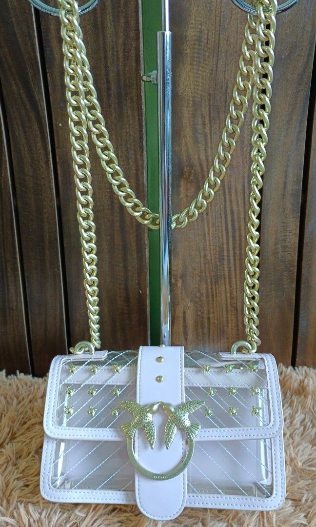Pinko transparent 2025 bag