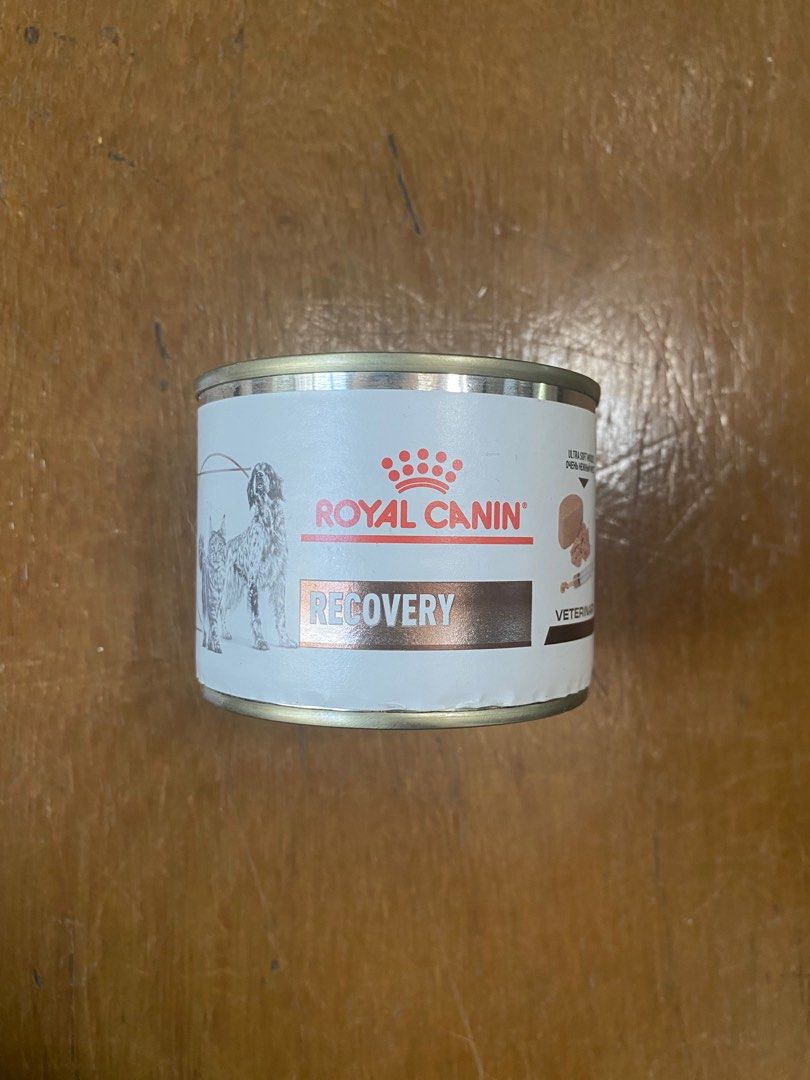 Royal canin best sale ko canned