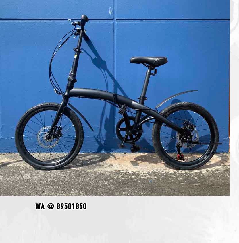 29 folding bike 2025