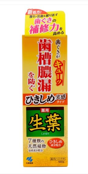 日本  小林製藥  生葉牙齦護理牙膏 生葉牙膏