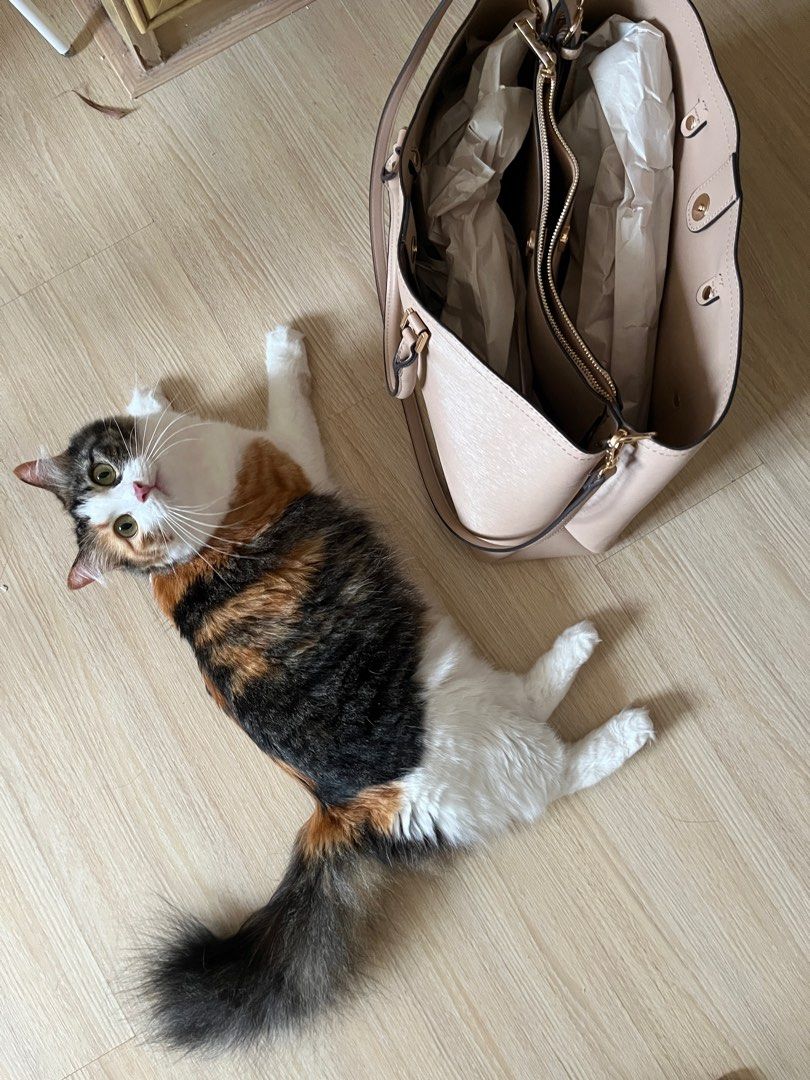 Aldo large tote online bag