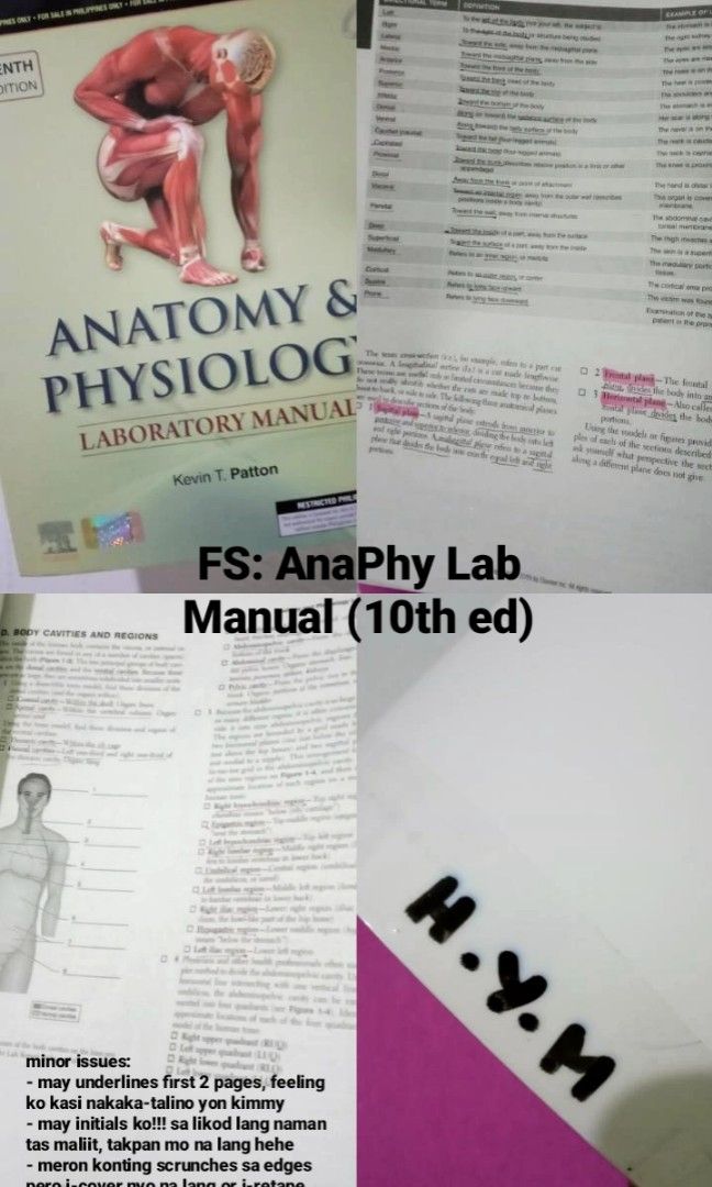 Anatomy & Physiology Lab Manual 10th Edition Patton on Carousell