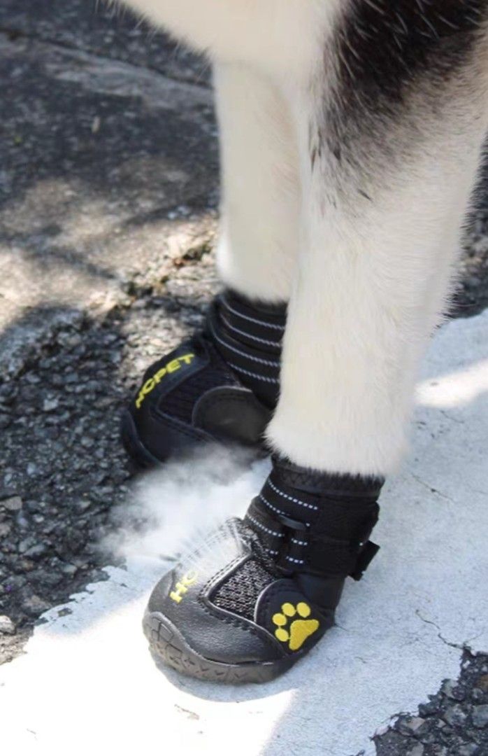 Dog shoe waterproof like new Pet Supplies Homes Other Pet Accessories on Carousell