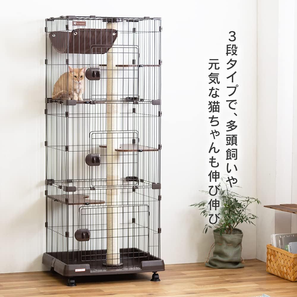 Iris cat 2024 condo