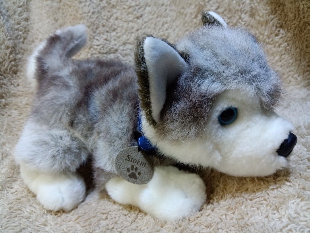 Keel toys husky shop