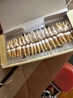 Kilgore Nissin Teeth model