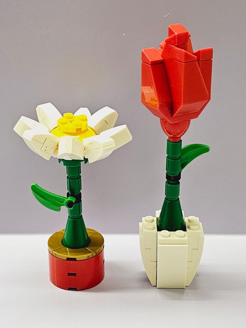 Lego flower display 40187 2025