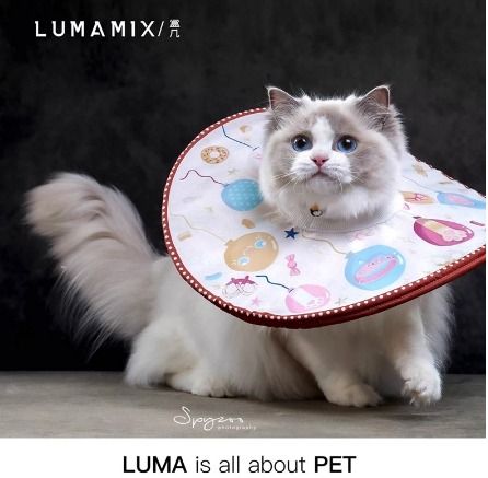 LumaMix light weight cat collar Elizabeth cone pet necklace
