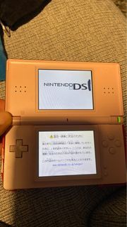 任天堂Nds 功能正常螢幕有黑點無充電器無卡帶