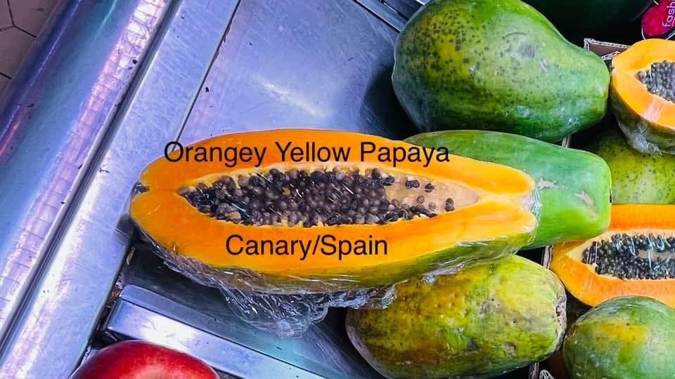Rare Spanish Canary YellowOrangy flesh papaya saplings for sale
