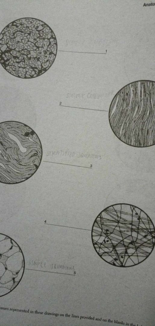 Seeley, California visual data 7