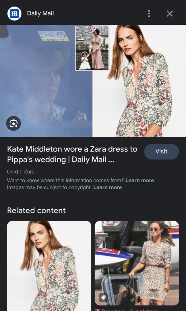 Daily mail hotsell zara dress