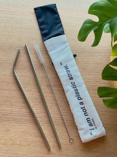 Stainless Steel Straw Set with brush