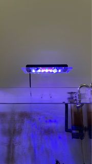 (Category: ) located in . Submitted by izzat9495 (Listing ID 1245878806, Image 1). Description: .