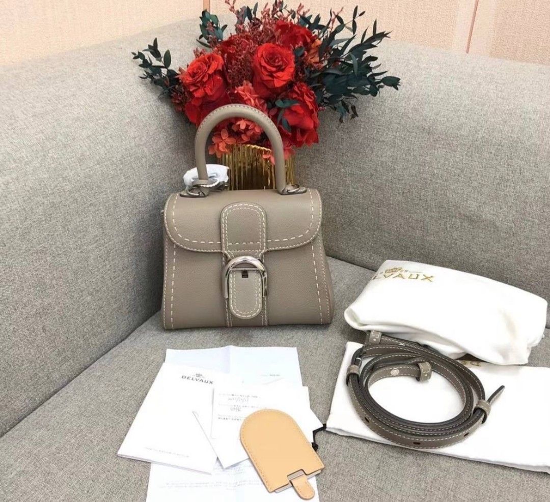 Delvaux Brillant Mini, Luxury, Bags & Wallets on Carousell