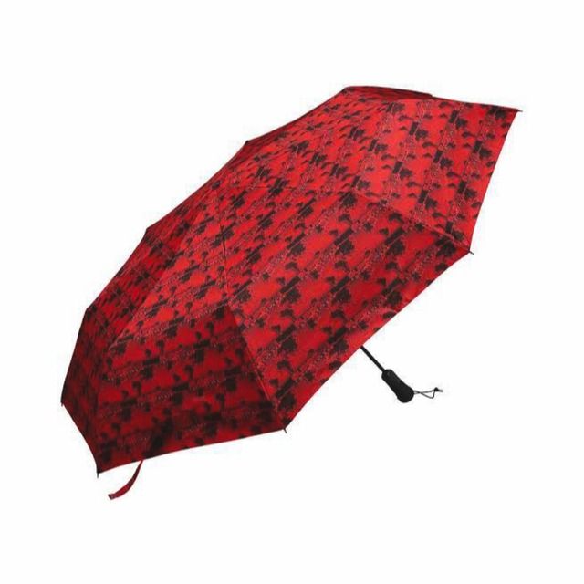 🇯🇵日本代購Supreme Shedrain World Famous Umbrella Supreme雨傘