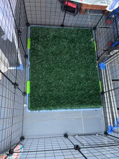 (Category: ) located in . Submitted by hazel_way (Listing ID 1247625394, Image 1). Description: .