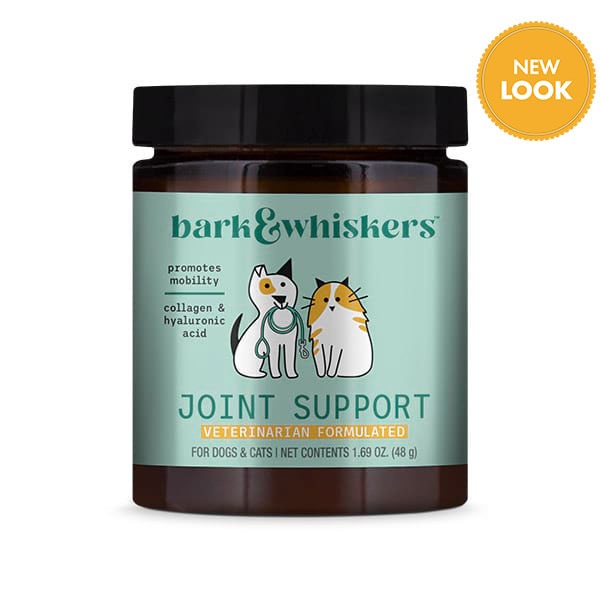 Dr karen becker bone broth for dogs top