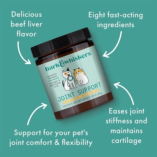 Dr karen becker bone broth discount