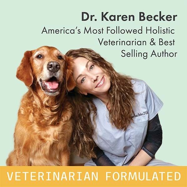 Dr karen deals becker bone broth