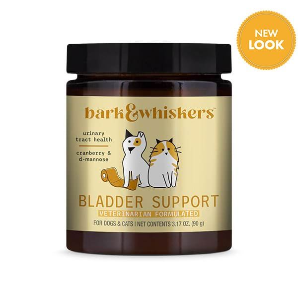 Dr karen becker bone broth for dogs online