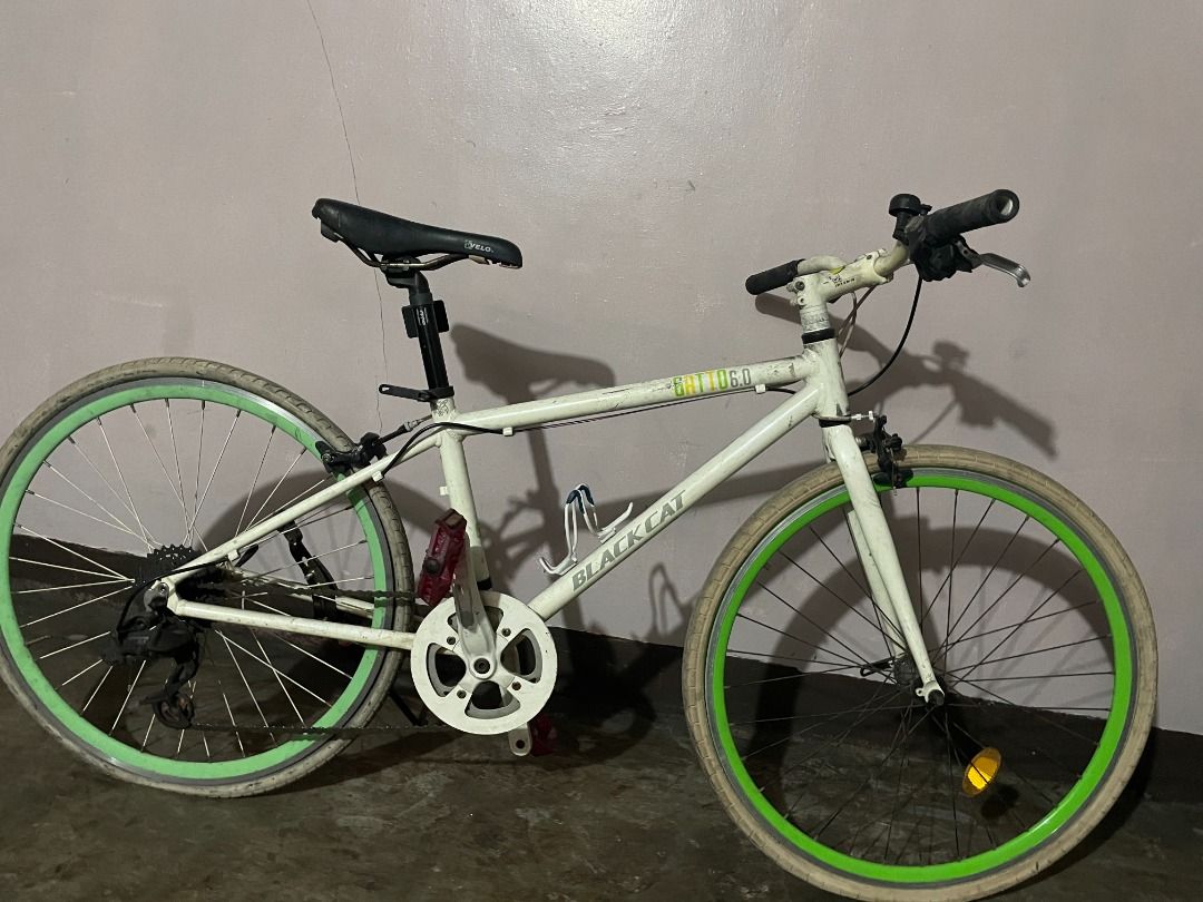 Black cat hotsell bikes for sale