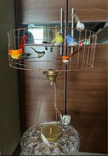 （分類：）位於 。 由 bubu234 提交（商品編號 1247535619，圖片 1）。簡介： 。