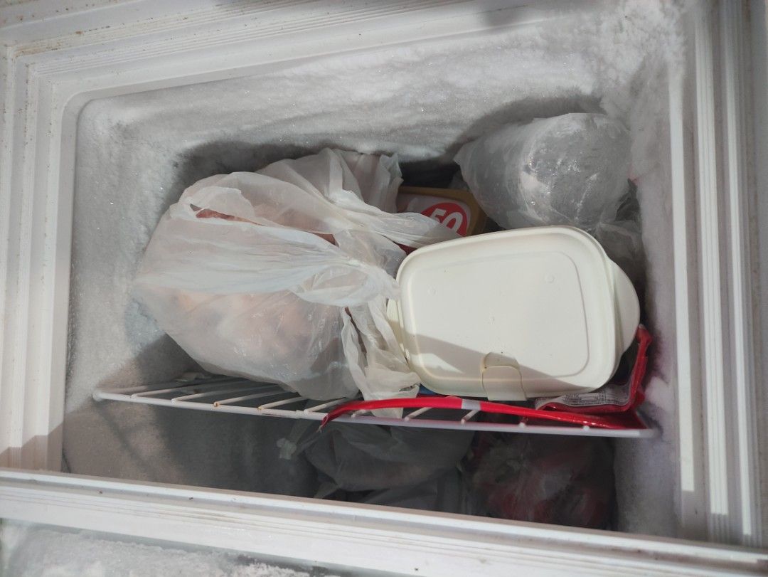 Chest type freezer & ref bundle on Carousell